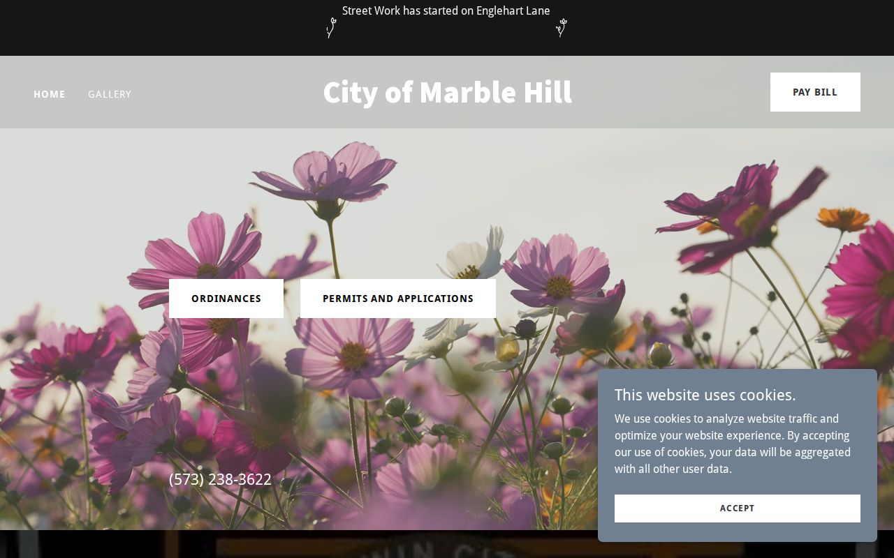 Marble Hill criminal history and Bollinger County city records source
